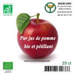 Pur jus pomme bio pétillant 25 cl UE